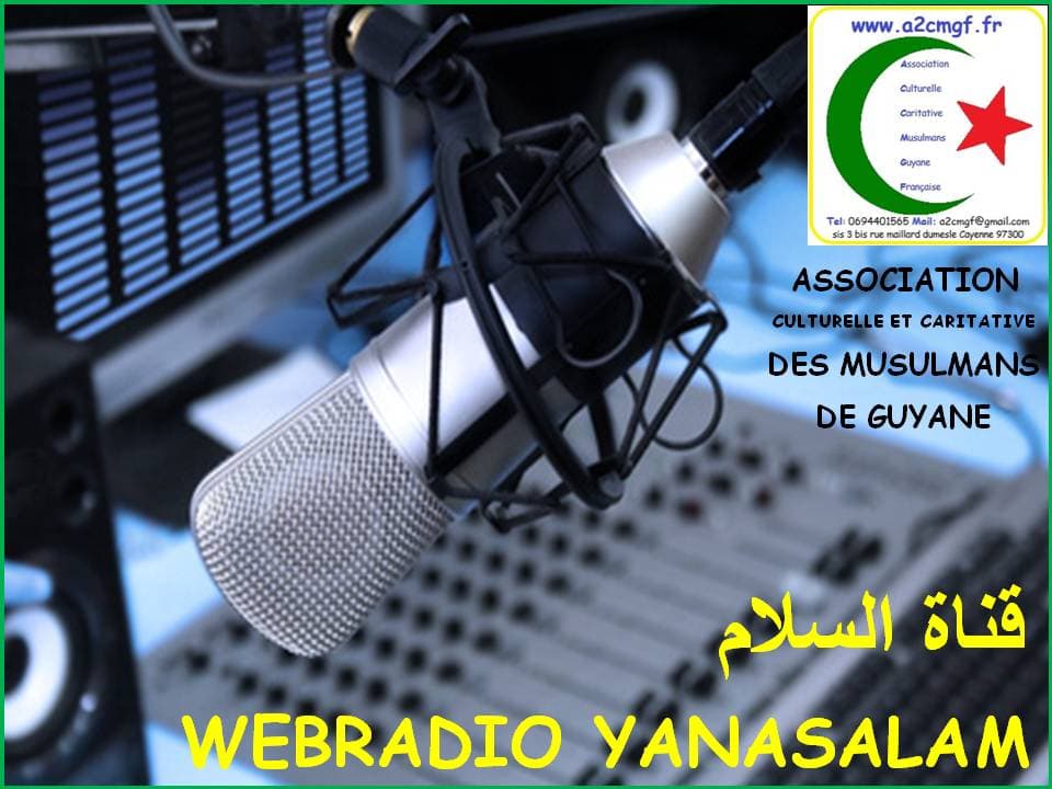 Actuellement sur la plateforme radio garden